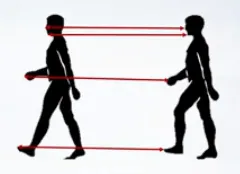 Optical flow example